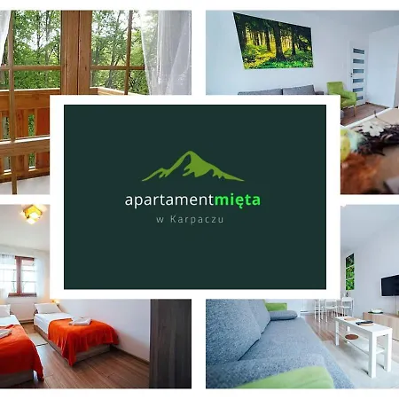 Apartament Mięta *